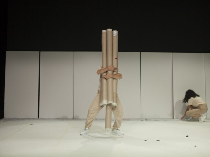 Nus-altres possibles