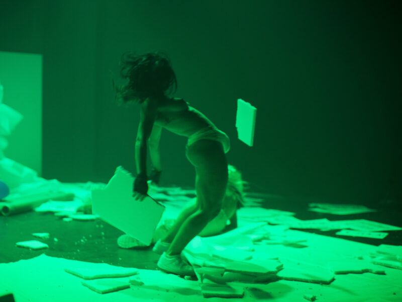 Nus-altres possibles